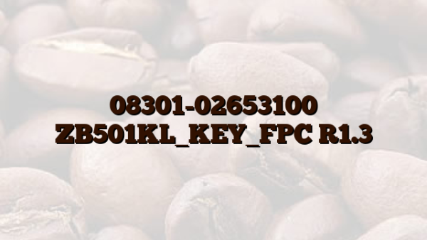 08301-02653100 ZB501KL_KEY_FPC R1.3