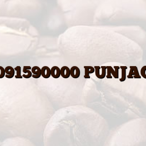 091590000 PUNJAC