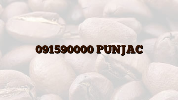 091590000 PUNJAC