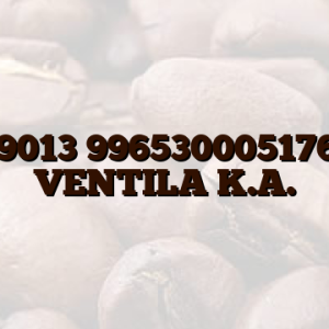 11009013 996530005176 PIN VENTILA K.A.