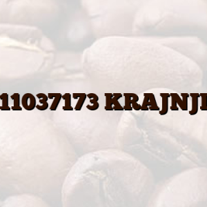 11037173 KRAJNJI