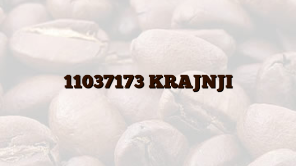 11037173 KRAJNJI
