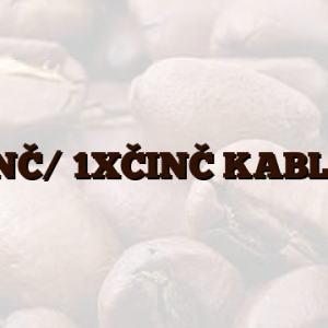 1XČINČ/ 1XČINČ KABL 2,5M