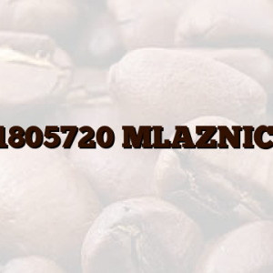 21805720 MLAZNICA