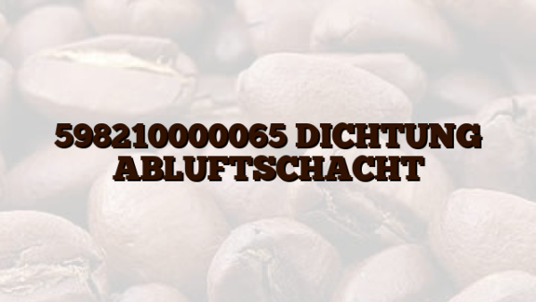 598210000065 DICHTUNG ABLUFTSCHACHT