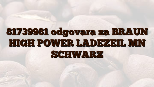 81739981 odgovara za BRAUN HIGH POWER LADEZEIL MN SCHWARZ