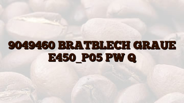 9049460 BRATBLECH GRAUE E450_P05 PW Q